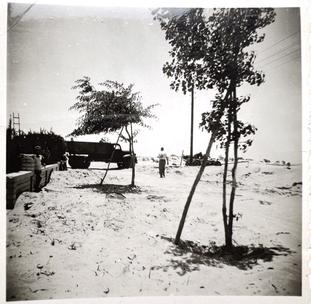 Chapter 16: Quiet, A People is Being&nbsp;Born